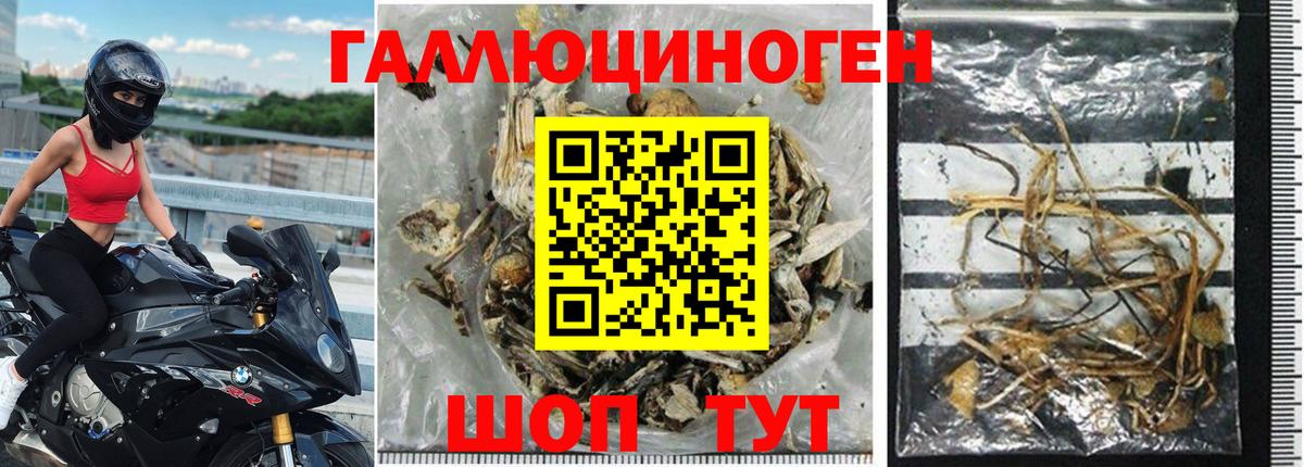 Псилоцибиновые грибы прущие грибы  Галлюциногенные грибы прущие грибы  как найти закладки  Череповец  Вход с VPN 
